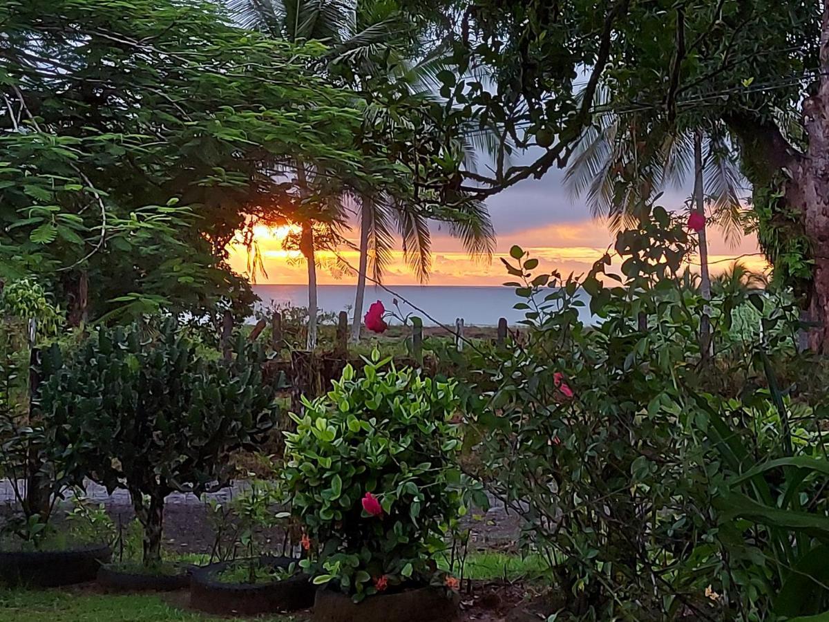 Hotel Gitana Corcovado, Y Tour Operador Drakes Bay المظهر الخارجي الصورة
