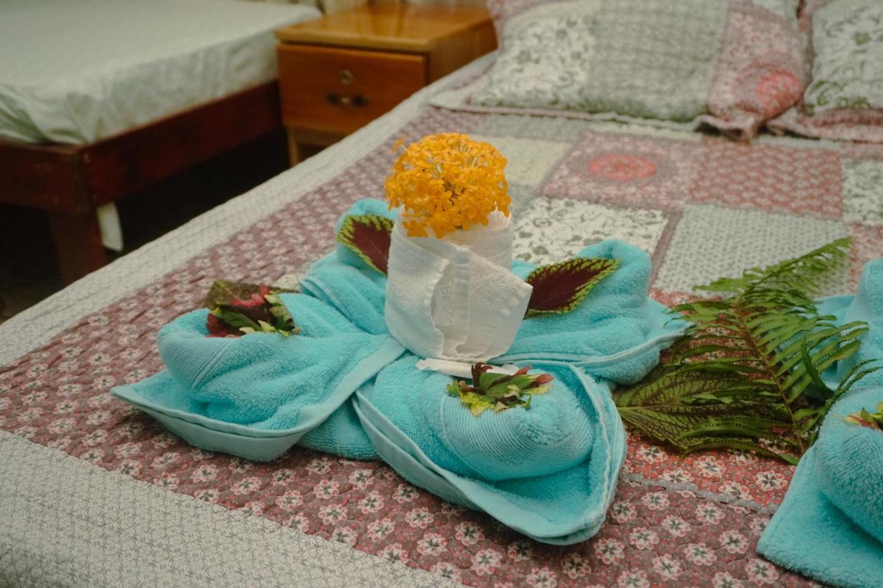 Hotel Gitana Corcovado, Y Tour Operador Drakes Bay المظهر الخارجي الصورة