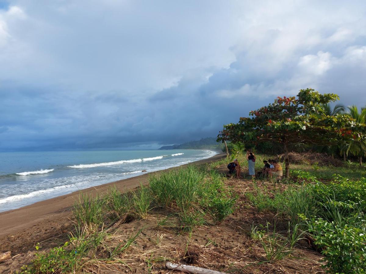 Hotel Gitana Corcovado, Y Tour Operador Drakes Bay المظهر الخارجي الصورة