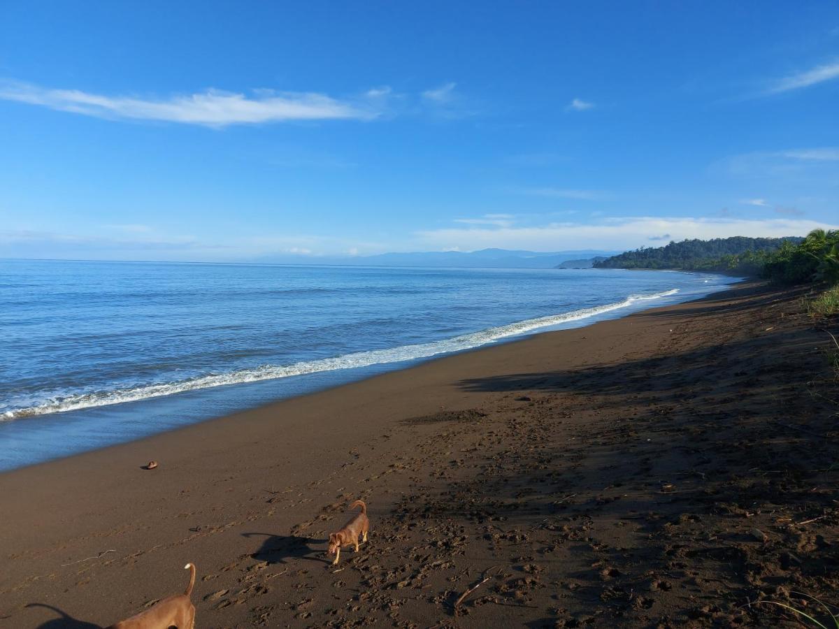 Hotel Gitana Corcovado, Y Tour Operador Drakes Bay المظهر الخارجي الصورة