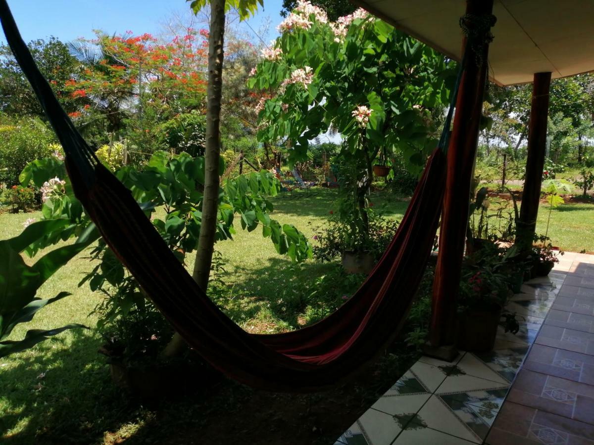 Hotel Gitana Corcovado, Y Tour Operador Drakes Bay المظهر الخارجي الصورة
